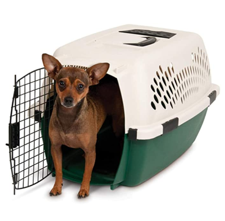 Outdoor Dog Kennel