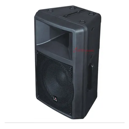 Audio Concert Stage Speaker Box PH-12
