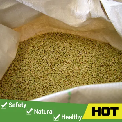 Raw sweet and bitter roasted buckwheat kernel