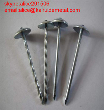 Q195 Umbrella Head Roofing Nails