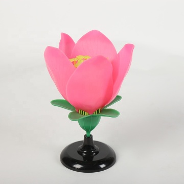 Top Selling Botany Model: Peach Blossom for Educational Flower Learning