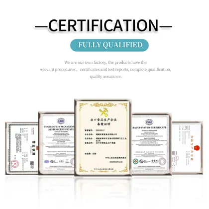 100% Natural No Additive Lemon Tea Freeze Dried Lemon Slices Sugar Free