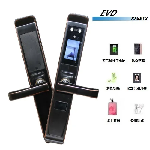 2020 New design Facial recognition lock