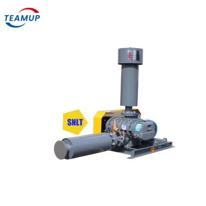 High Airflow Compact Roots Blower with Low Maintenance