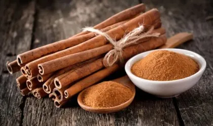 Organic Ceylon Cinnamon Extract Powder Cinnamon Polyphenols