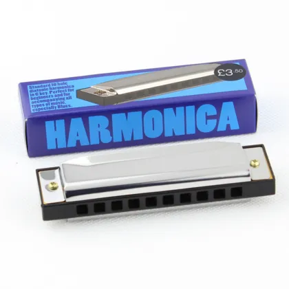 Factory Custom Metal Musical Instrument 10 Holes Blues Harp Harmonica for Kids