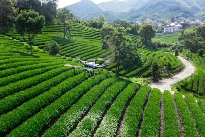 Agricultural Plant Protection Drone 40L Agriculture Uav Drone Sprayer Oil-Driven Hybrid Plant Protection Device