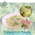 Высушенный распылением порошок мяты перечной, мята, функциональное пищевое применение