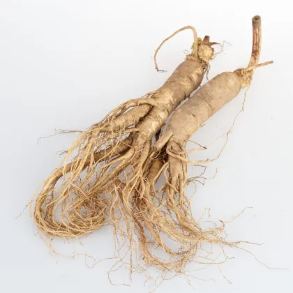Ginseng Root Extract Powder