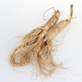Ginseng Root Extract Powder