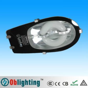 40W 60W 80W Flourescent Electrodeless Induction Street Light