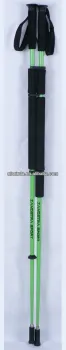 ice pole