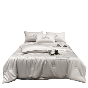 Maschinengewaschener Eisseide Sommer Cool Quilt Set mit Stickerei