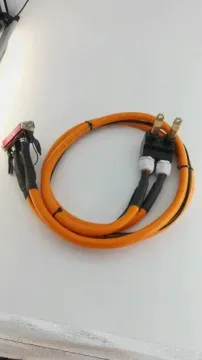 New Energy Automotive Wiring Harness for Battery Pack