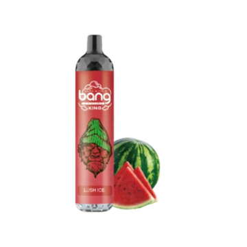 Netherlands Hot Sale Vape Bang King 6000 Vape