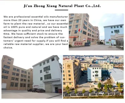 Wholesale Premium Quality 100% Pure Natural Ostrich Oil Emu Oil for Skincare 100% Pure Natural Emu Oil Direct Supply