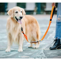 5 ft reflektif latihan anjing leash