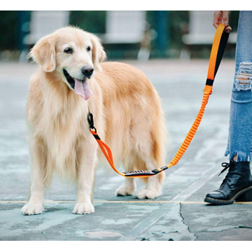 5 piedi di allenamento per cani riflettente al guinzaglio