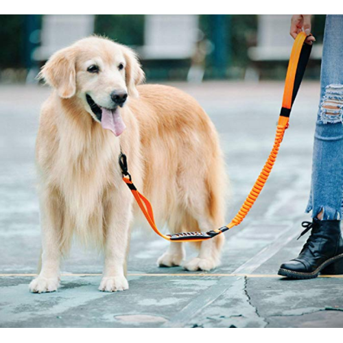 5 ft reflekterande hund träningsleash