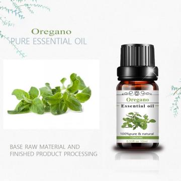 Organic Wholesale 100% Pure Nautral oil Steam Distilled Oregano essential oil