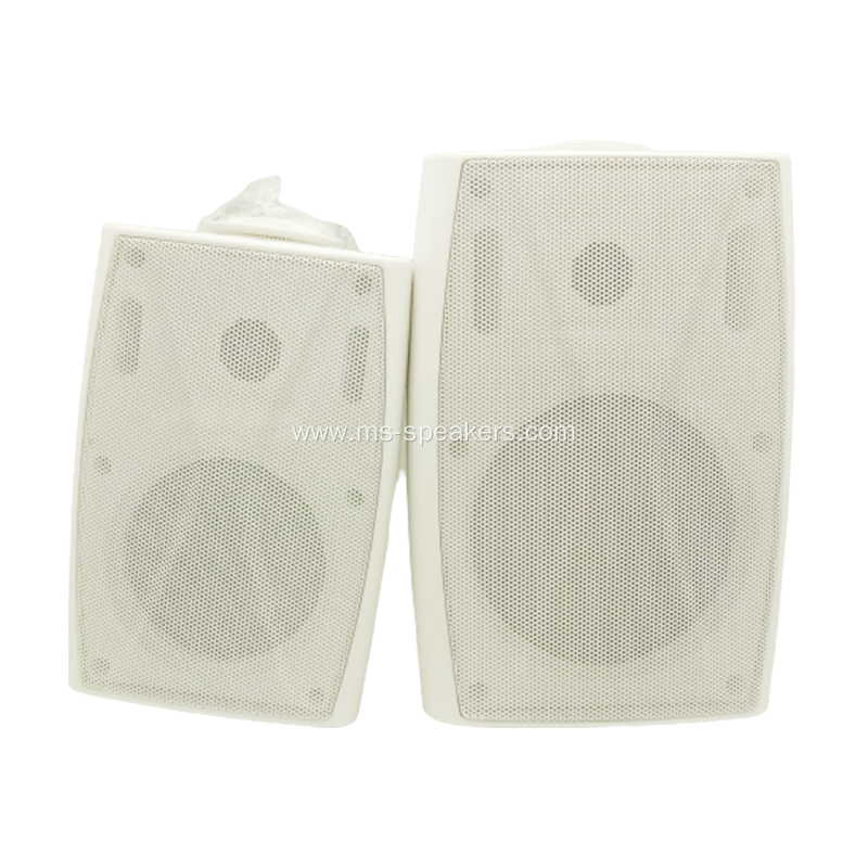 professional indoor wall speaker box with high quality