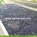 New Crop Factory Supply Fruit Black Dried Goji