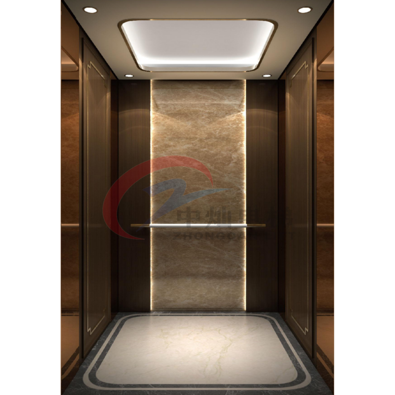 Passenger Lift Customized Hotel