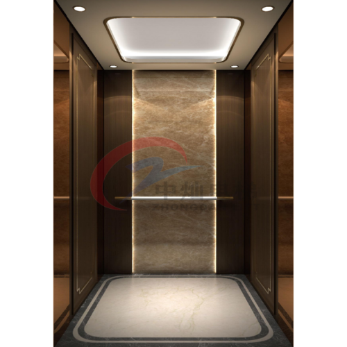 Hotel personalizado do elevador de passageiros