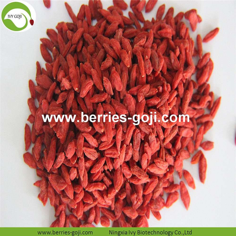 Goji berry