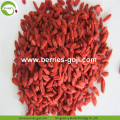 공장 공급 과일 벌크 5KG Goji Berry