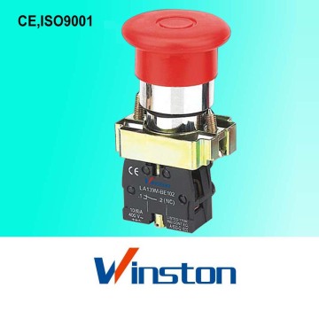Push Button Switch