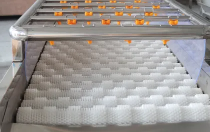 Industrial Fruit Washing Machine Orange Washing Machine