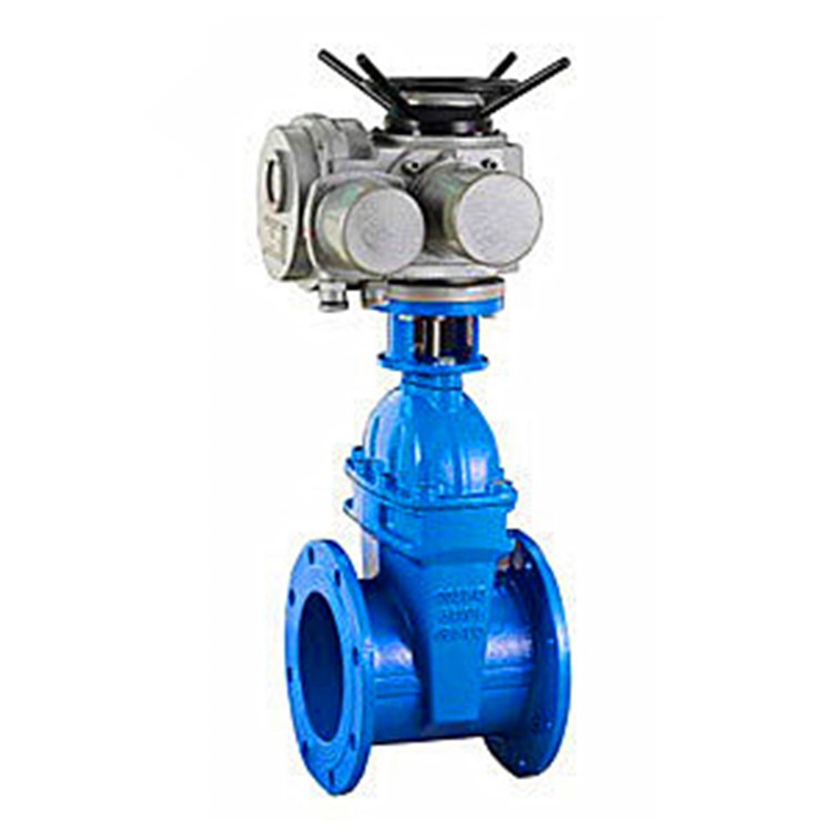 Sewage soft seal gate valve
