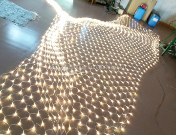 Grande motore di ricerca di luci a rete calda