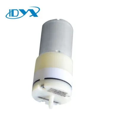 24 Volt Dynamic Sensor Light Electric Air Pump