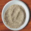 Bijirin quinoa putih berkualiti tinggi