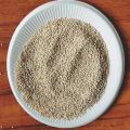 Grão de quinoa branca de alta qualidade