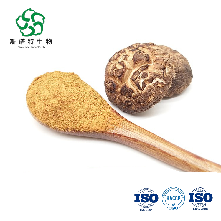 Extrato de cogumelo shiitake natural de melhor qualidade 50% lentinan