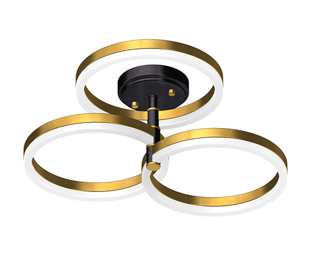Indoor Ceiling Light