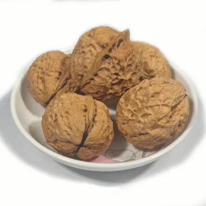 Bulk Wholesale Walnut Fruit