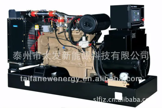Taifa natural gas generating set with ISO9001 Professional silence 20KW/25KVA