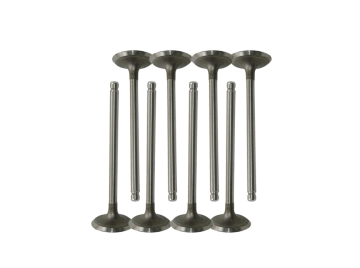 High-Efficiency Intake Valves