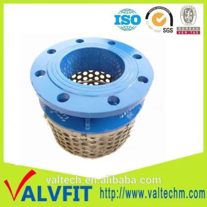 Ductile Iron T-POT Strainer