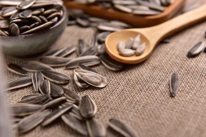 pure 361 sunflower seeds bayannur origin