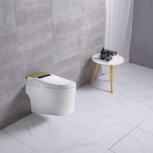 Smart Wall-Hung Toilet Top Bathroom Titting Brands In The World Supplier