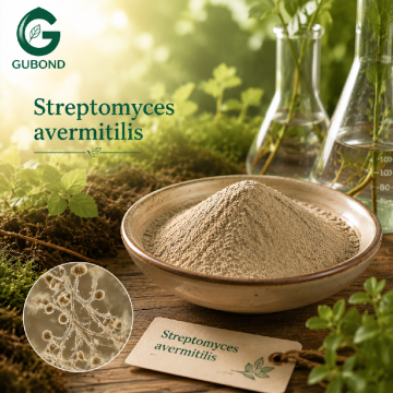 Streptomyces Avermitilis Actinomycete Culture Material