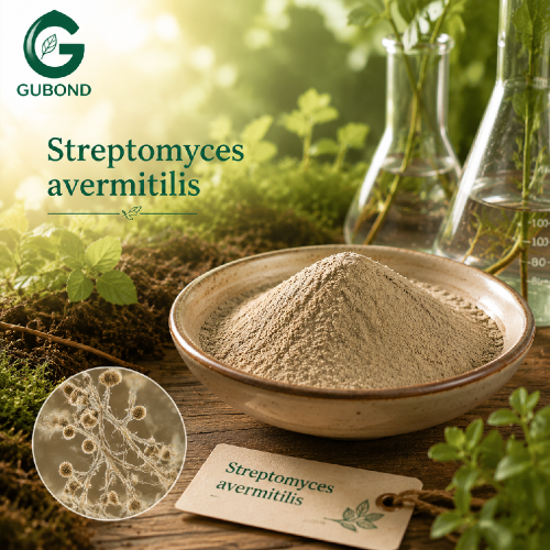 المواد الثقافية للبكتيريا السبحية Avermitilis Actinomycete