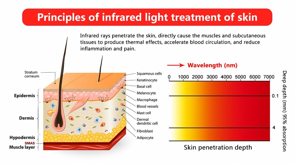Full Body Red Light Therapy