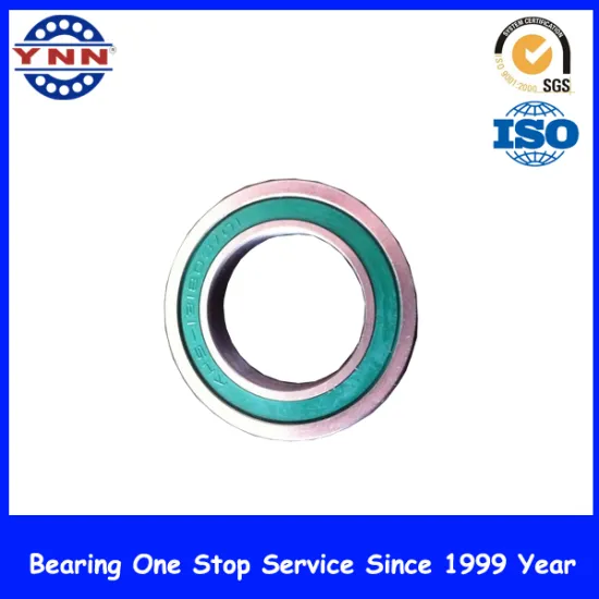 Non-Standard Deep Groove Ball Bearings for Food Machinery