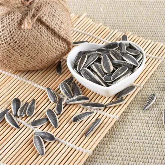 hot selling dried and raw style good price white sunflower seeds